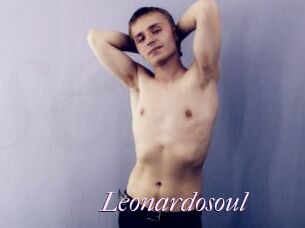 Leonardosoul