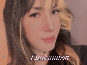 Lisahumbolt