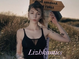 Lizhkamics