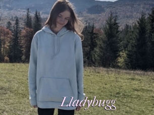 Lladybugg