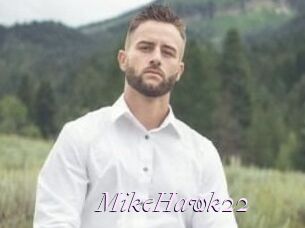 MikeHawk22