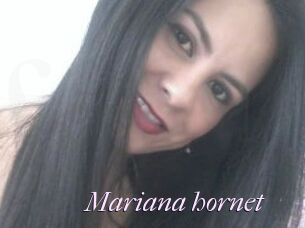 Mariana_hornet