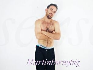 Martinhornybig