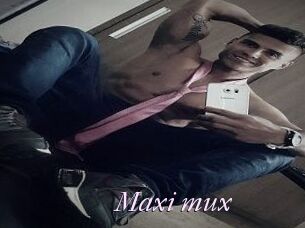 Maxi_mux