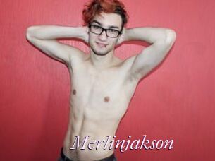 Merlinjakson
