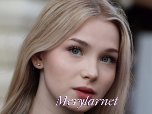 Merylarnet