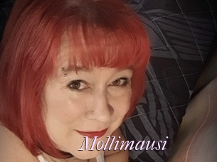 Mollimausi