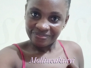 Mollineakinyi