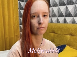 Mollyrabbit