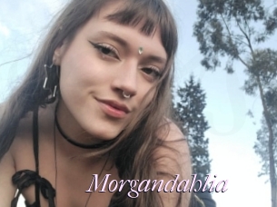 Morgandahlia