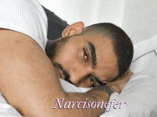 Narcisonefer