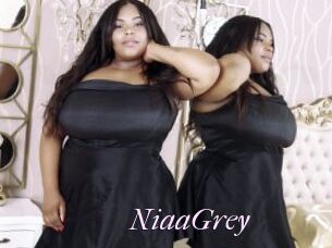 NiaaGrey