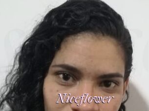 Nice_flower