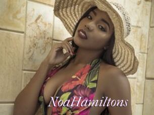 NoaHamiltons
