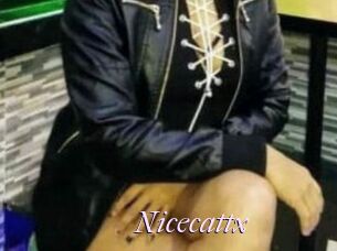 Nicecattx