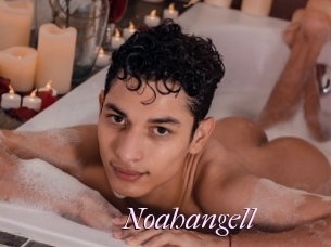 Noahangell