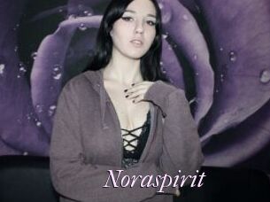 Noraspirit