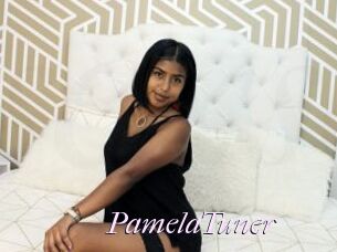 PamelaTuner