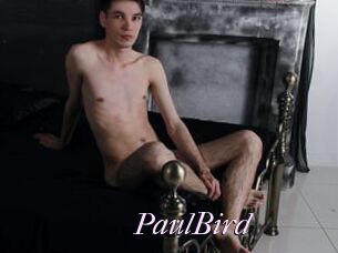 PaulBird