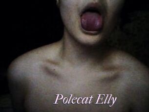 Polecat_Elly