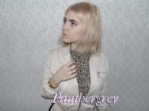 Panthergrey