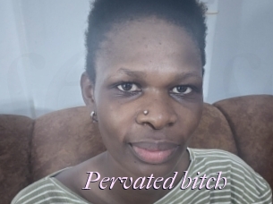 Pervated_bitch