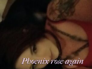 Phoenix_rose_again