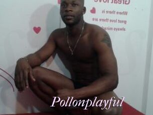 Pollonplayful