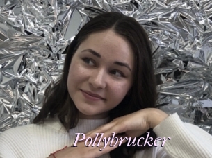 Pollybrucker