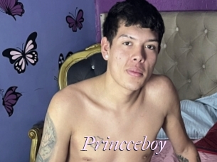 Princceboy