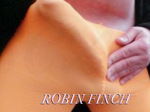 ROBIN_FINCH