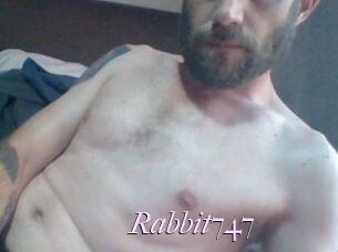 Rabbit747