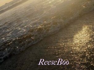 ReeseBoo