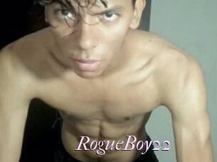 RogueBoy22