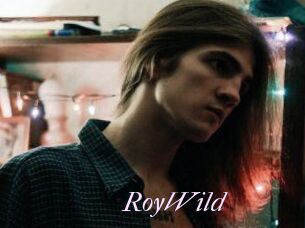 RoyWild