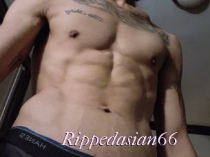 Rippedasian66