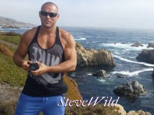 Steve_Wild