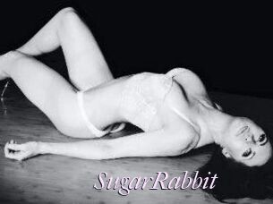 SugarRabbit