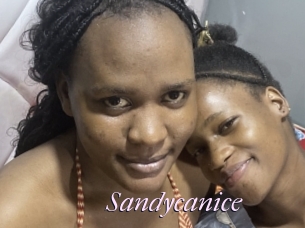 Sandycanice