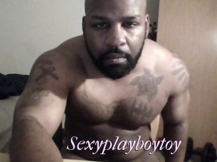 Sexyplayboytoy