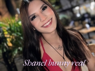 Shanel_bunny_real