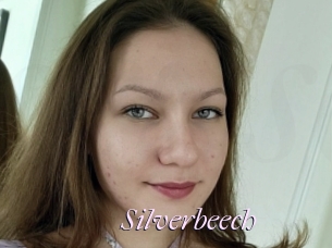 Silverbeech