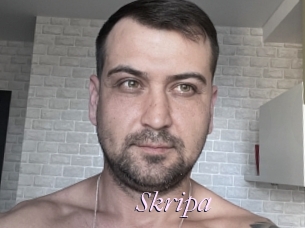 Skripa