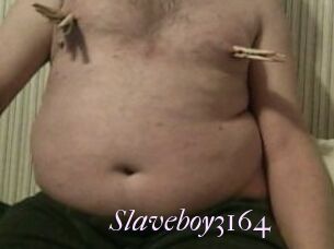 Slaveboy3164