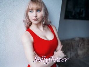 Sollyflower