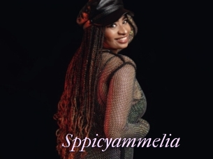 Sppicyammelia