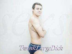 TwinkLargeDick