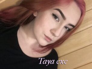 Taya_exe