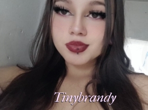 Tinybrandy