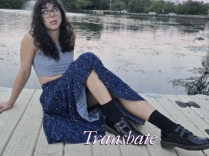 Transbate